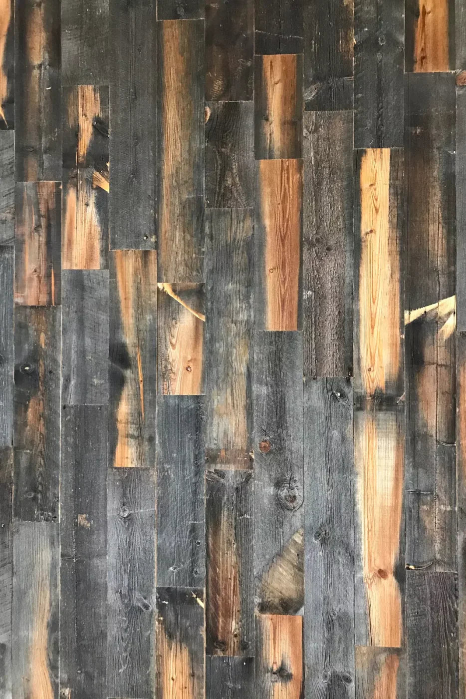 Fred Backdrop