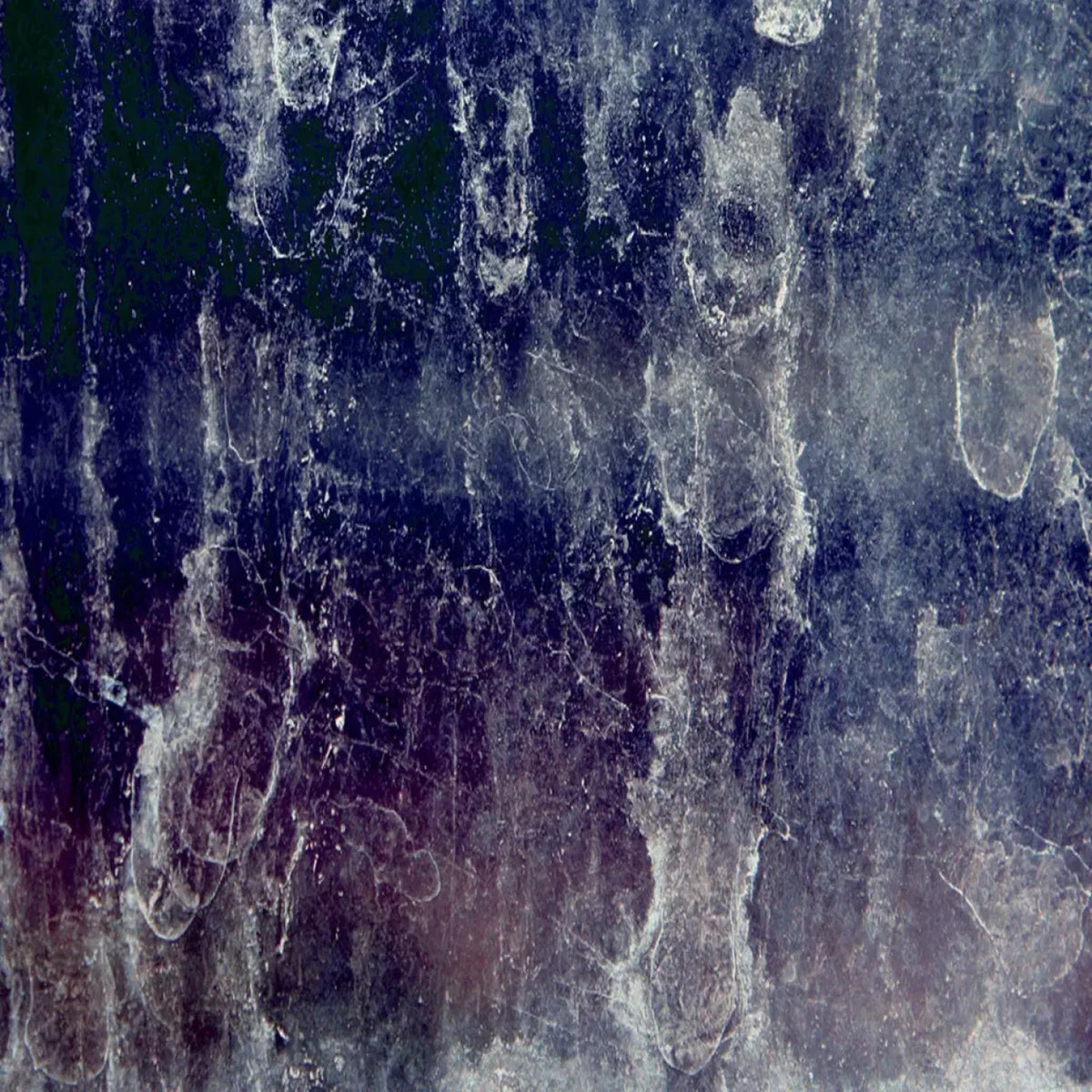 Freeze Backdrop