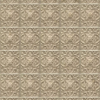 Frenchie 10X10 Ultracloth ( 120 X Inch ) Backdrop
