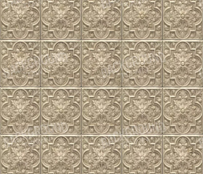 Frenchie 12X10 Ultracloth ( 144 X 120 Inch ) Backdrop
