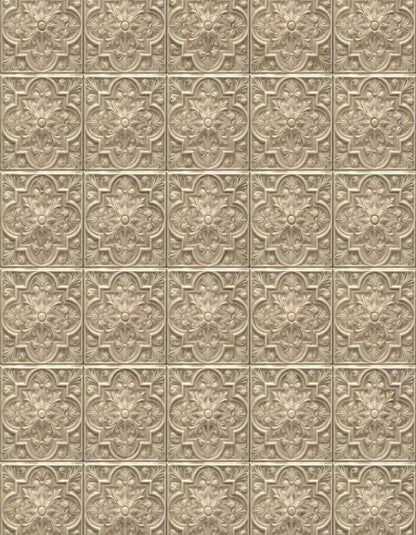 Frenchie 6X8 Fleece ( 72 X 96 Inch ) Backdrop