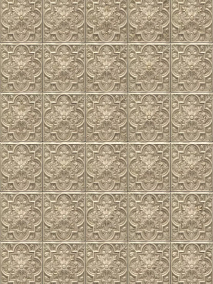 Frenchie 8X10 Fleece ( 96 X 120 Inch ) Backdrop
