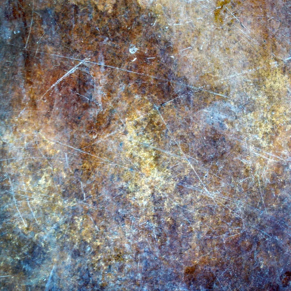 Frenzy Backdrop