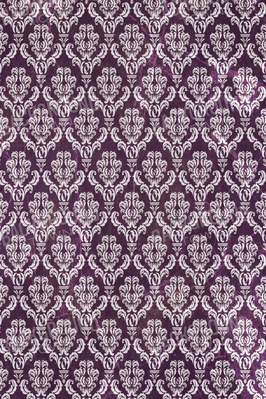 Frivolous 5X8 Ultracloth ( 60 X 96 Inch ) Backdrop