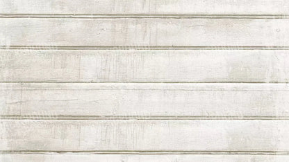 Frost 14X8 Ultracloth ( 168 X 96 Inch ) Backdrop