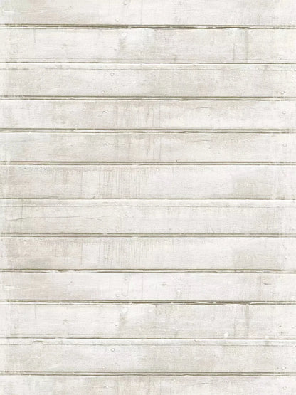 Frost 5X7 Ultracloth ( 60 X 84 Inch ) Backdrop