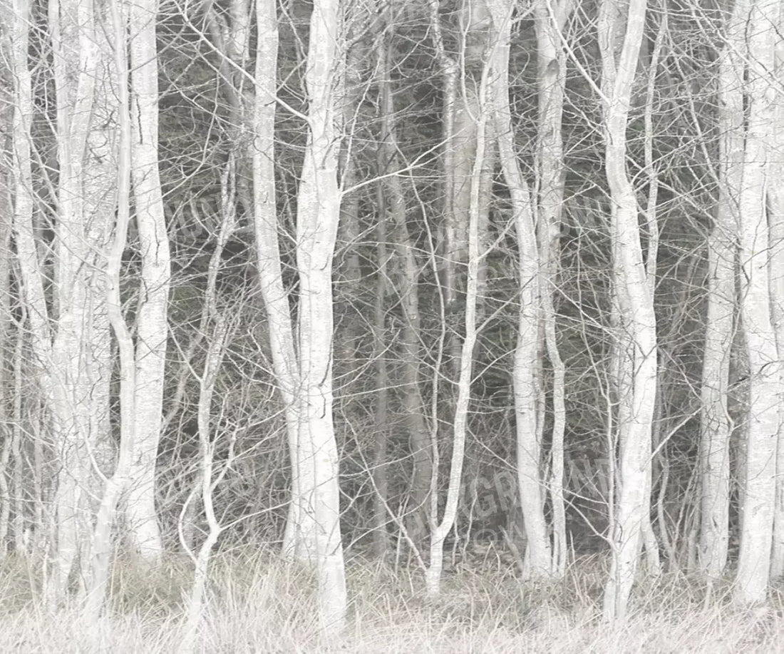 White Winter Backdrop for Photography