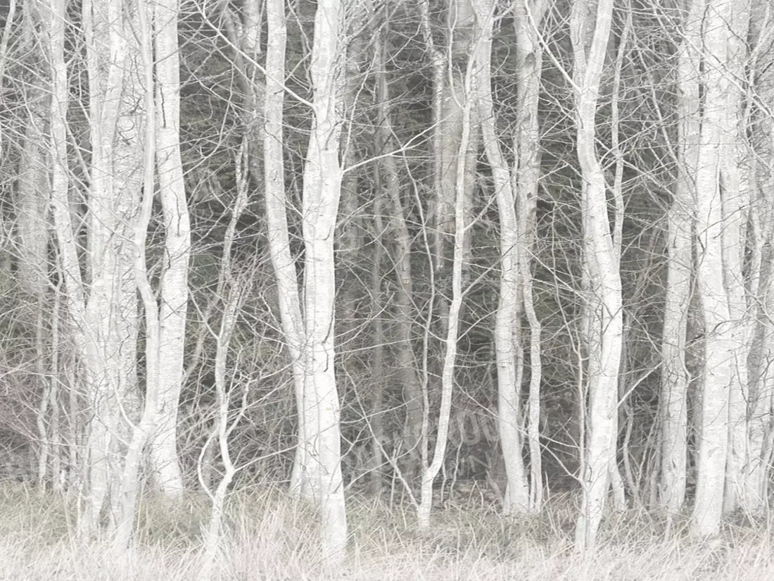 Frosted Birch 6’8’’X5’ Fleece (80 X 60 Inch) Backdrop