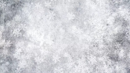 Frosty 14’X8’ Ultracloth (168 X 96 Inch) Backdrop