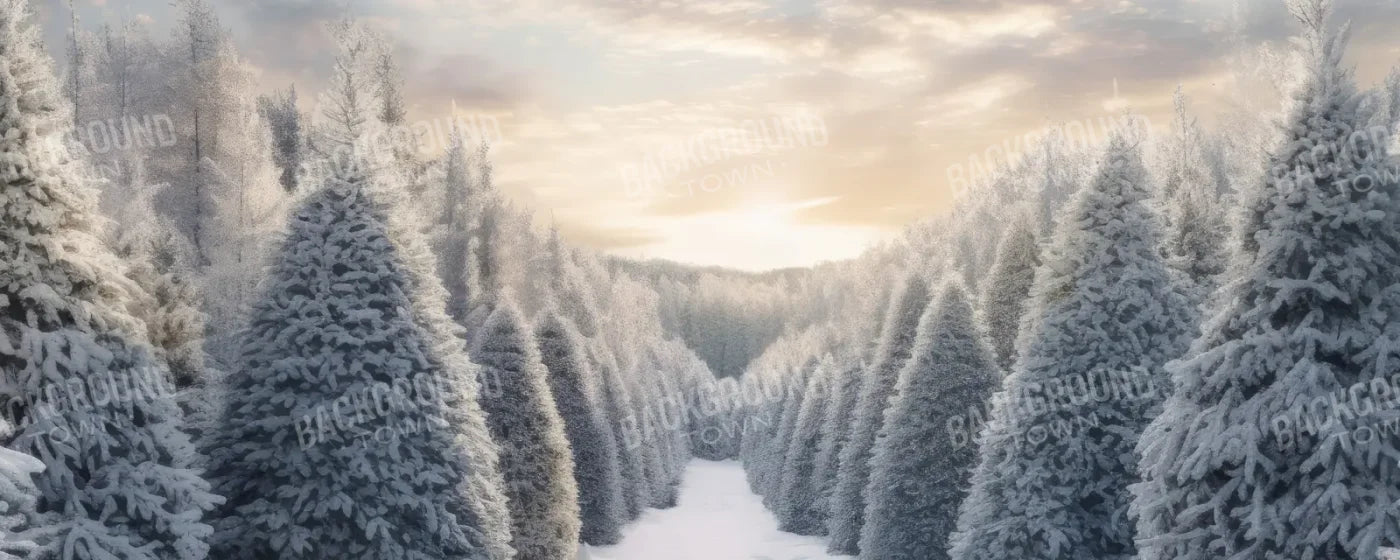Frosty Forest 20’x8’ UltraCloth (240 x 96 inch) Backdrop