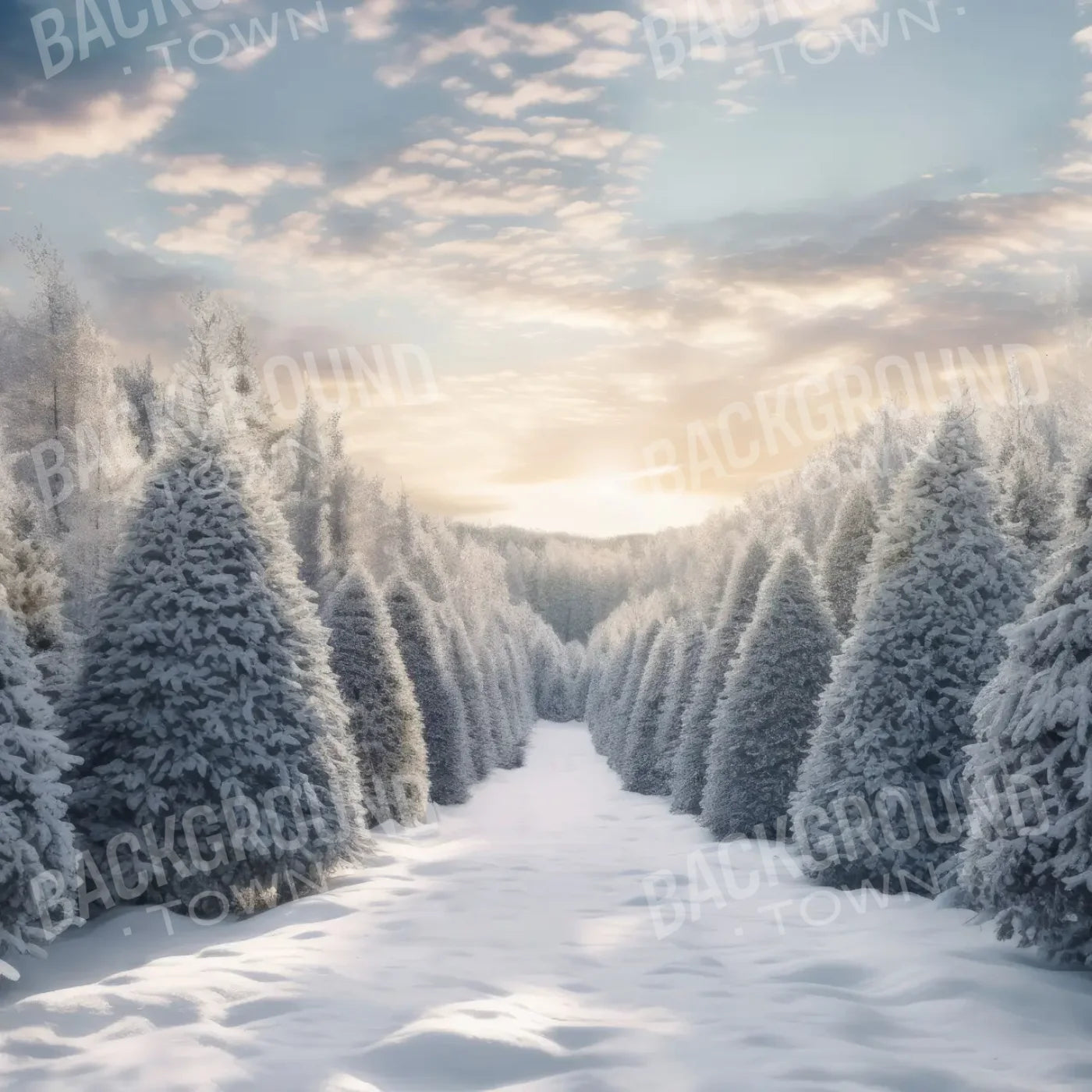 Frosty Forest 8’x8’ Fleece (96 x 96 inch) Backdrop