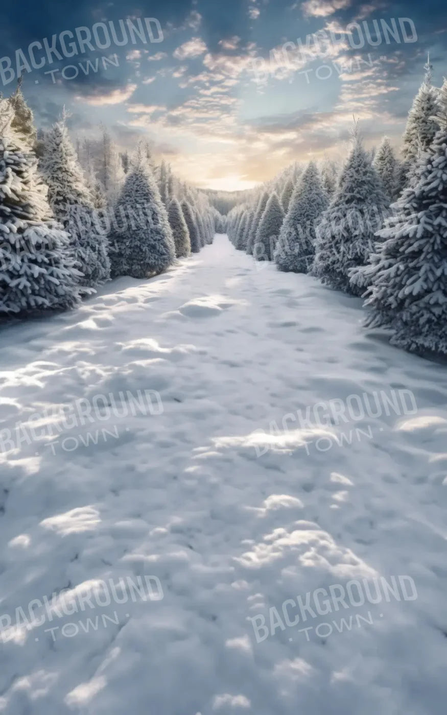 White Blue  Backdrop for Photography