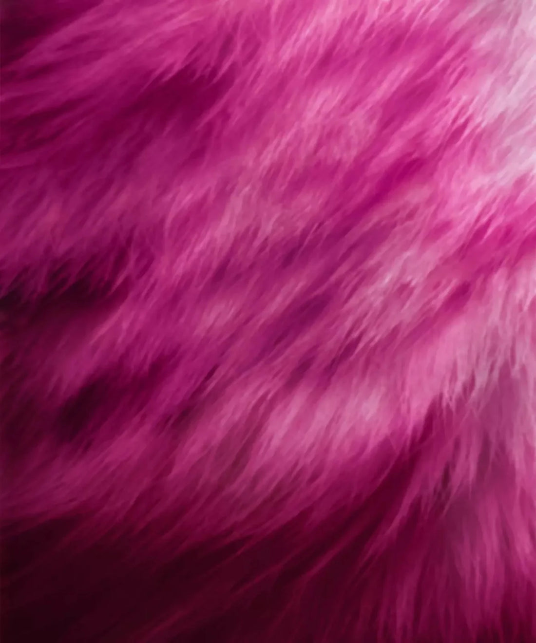 Pink Boudoir Backdrop for Photography
