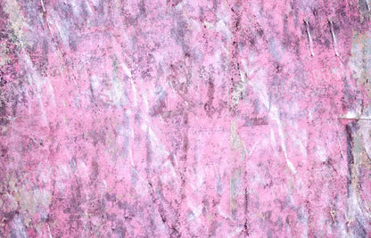 Gabby 12X8 Ultracloth ( 144 X 96 Inch ) Backdrop