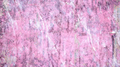 Gabby 14X8 Ultracloth ( 168 X 96 Inch ) Backdrop