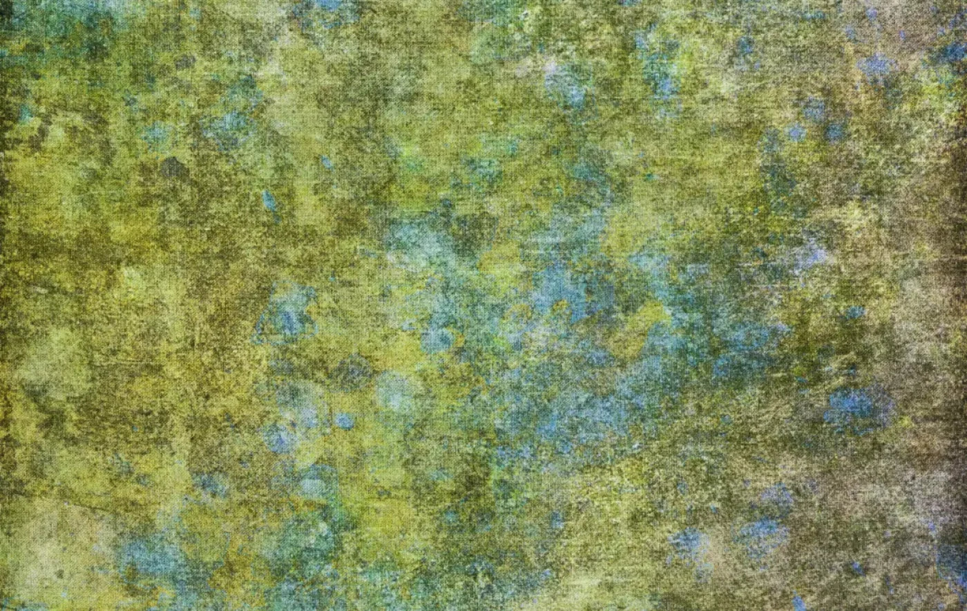 Gabe 16’X10’ Ultracloth (192 X 120 Inch) Backdrop