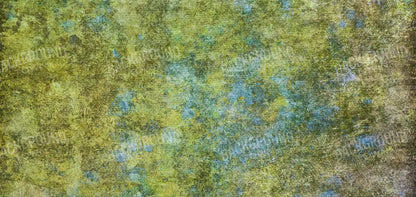 Gabe 16’X8’ Ultracloth (192 X 96 Inch) Backdrop