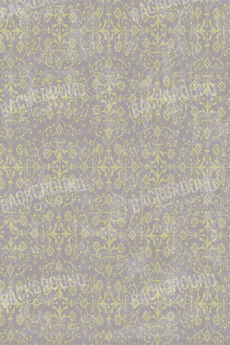 Gainsboro 5X8 Ultracloth ( 60 X 96 Inch ) Backdrop