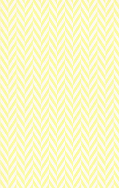 Gale 10X16 Ultracloth ( 120 X 192 Inch ) Backdrop