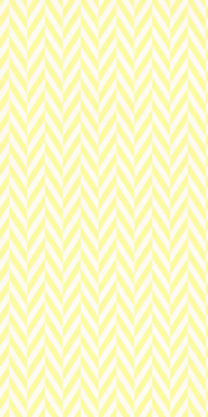 Gale 10X20 Ultracloth ( 120 X 240 Inch ) Backdrop