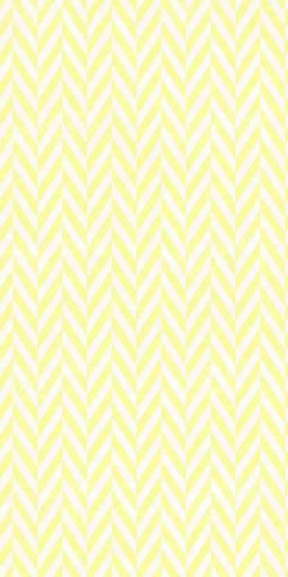 Gale 10X20 Ultracloth ( 120 X 240 Inch ) Backdrop