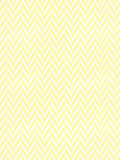 Gale 5X68 Fleece ( 60 X 80 Inch ) Backdrop