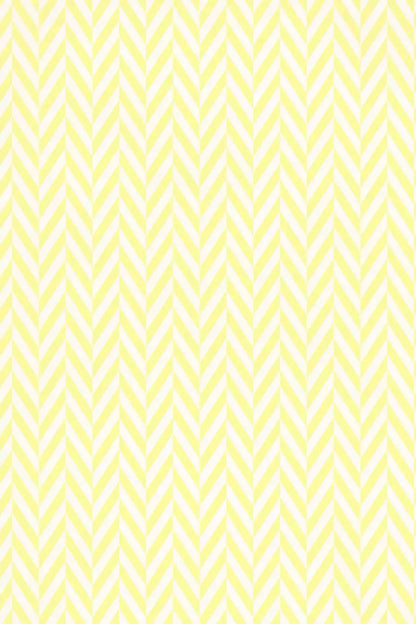 Gale 5X8 Ultracloth ( 60 X 96 Inch ) Backdrop
