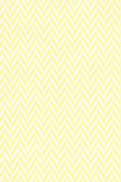 Gale 5X8 Ultracloth ( 60 X 96 Inch ) Backdrop