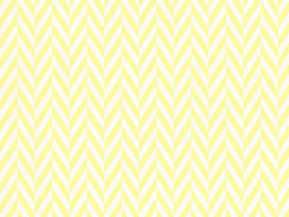 Gale 68X5 Fleece ( 80 X 60 Inch ) Backdrop