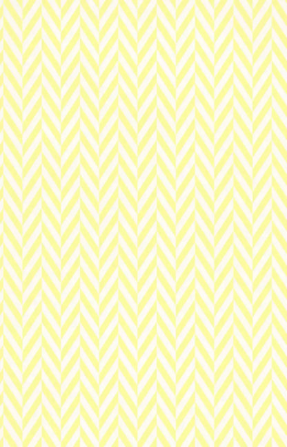 Gale 8X12 Ultracloth ( 96 X 144 Inch ) Backdrop