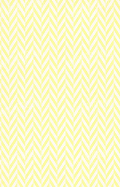 Gale 8X12 Ultracloth ( 96 X 144 Inch ) Backdrop