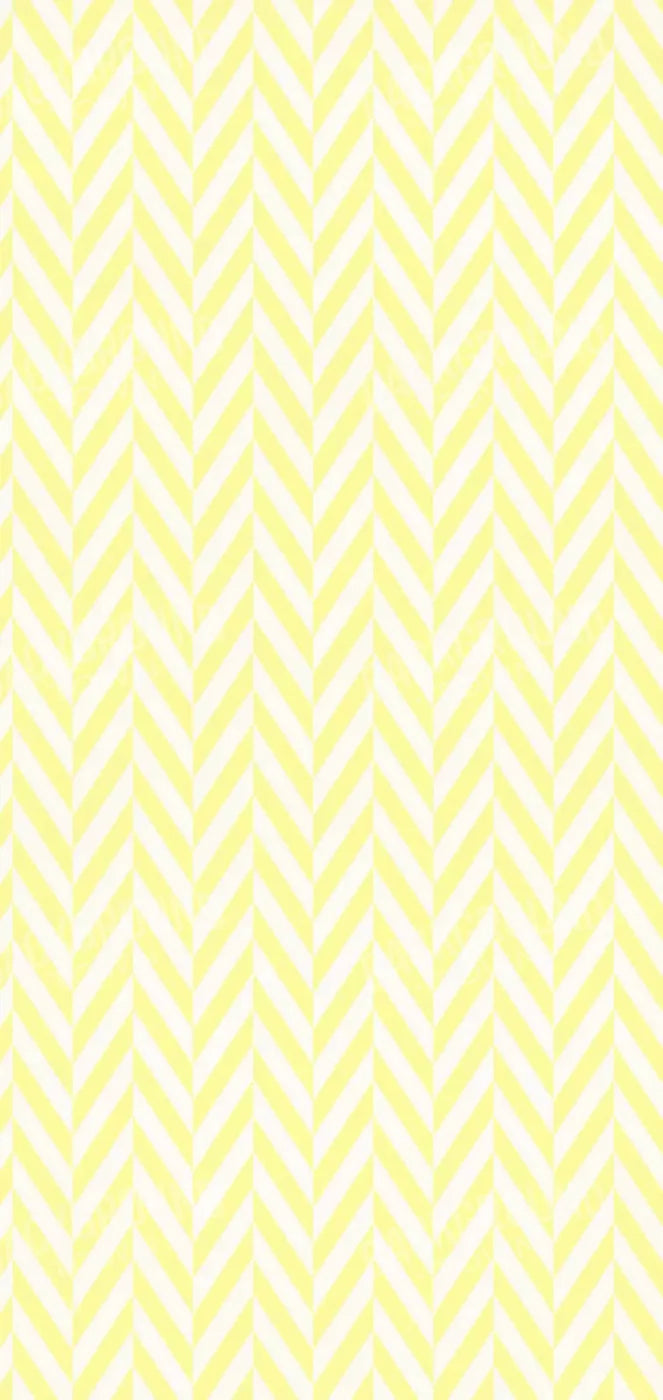 Gale 8X16 Ultracloth ( 96 X 192 Inch ) Backdrop