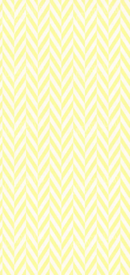 Gale 8X16 Ultracloth ( 96 X 192 Inch ) Backdrop