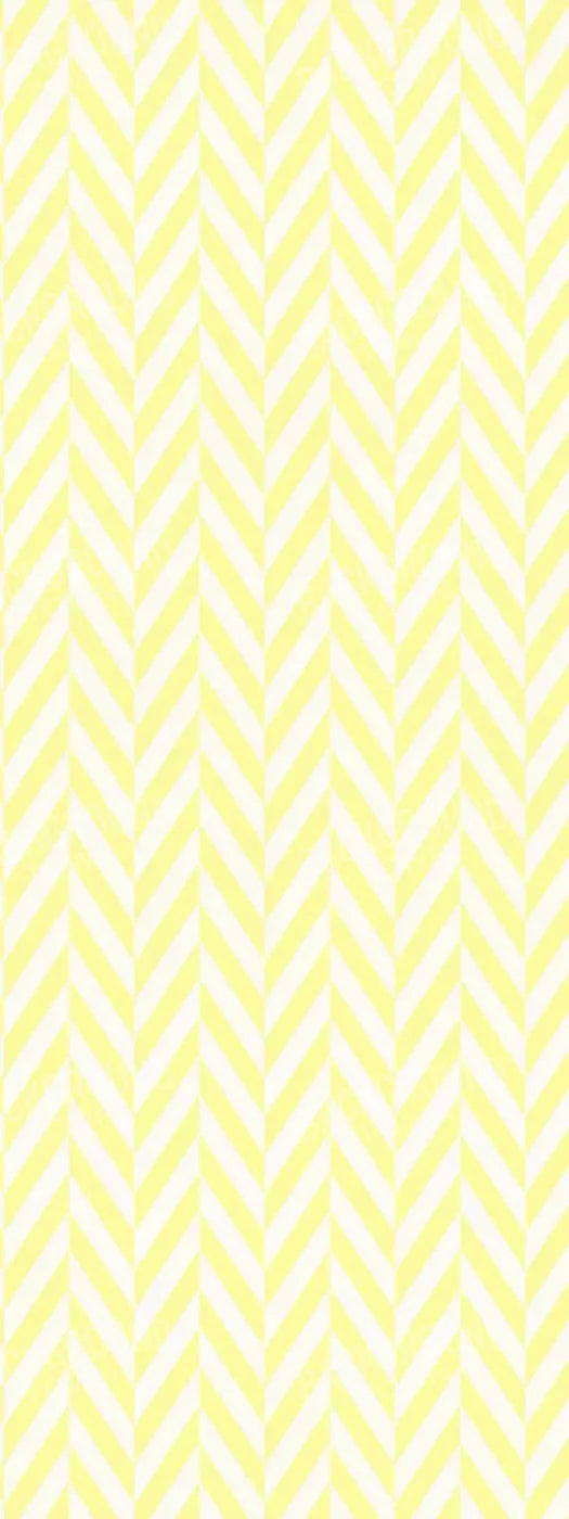 Gale 8X20 Ultracloth ( 96 X 240 Inch ) Backdrop