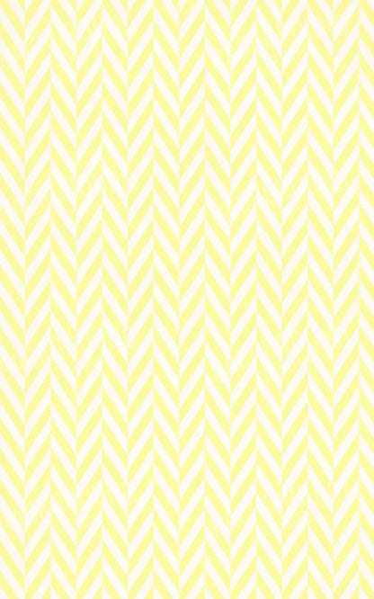 Gale 9X14 Ultracloth ( 108 X 168 Inch ) Backdrop