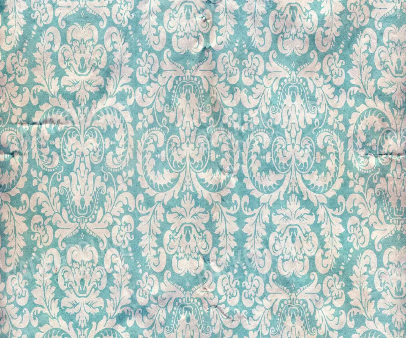 Georgie 5X42 Fleece ( 60 X 50 Inch ) Backdrop