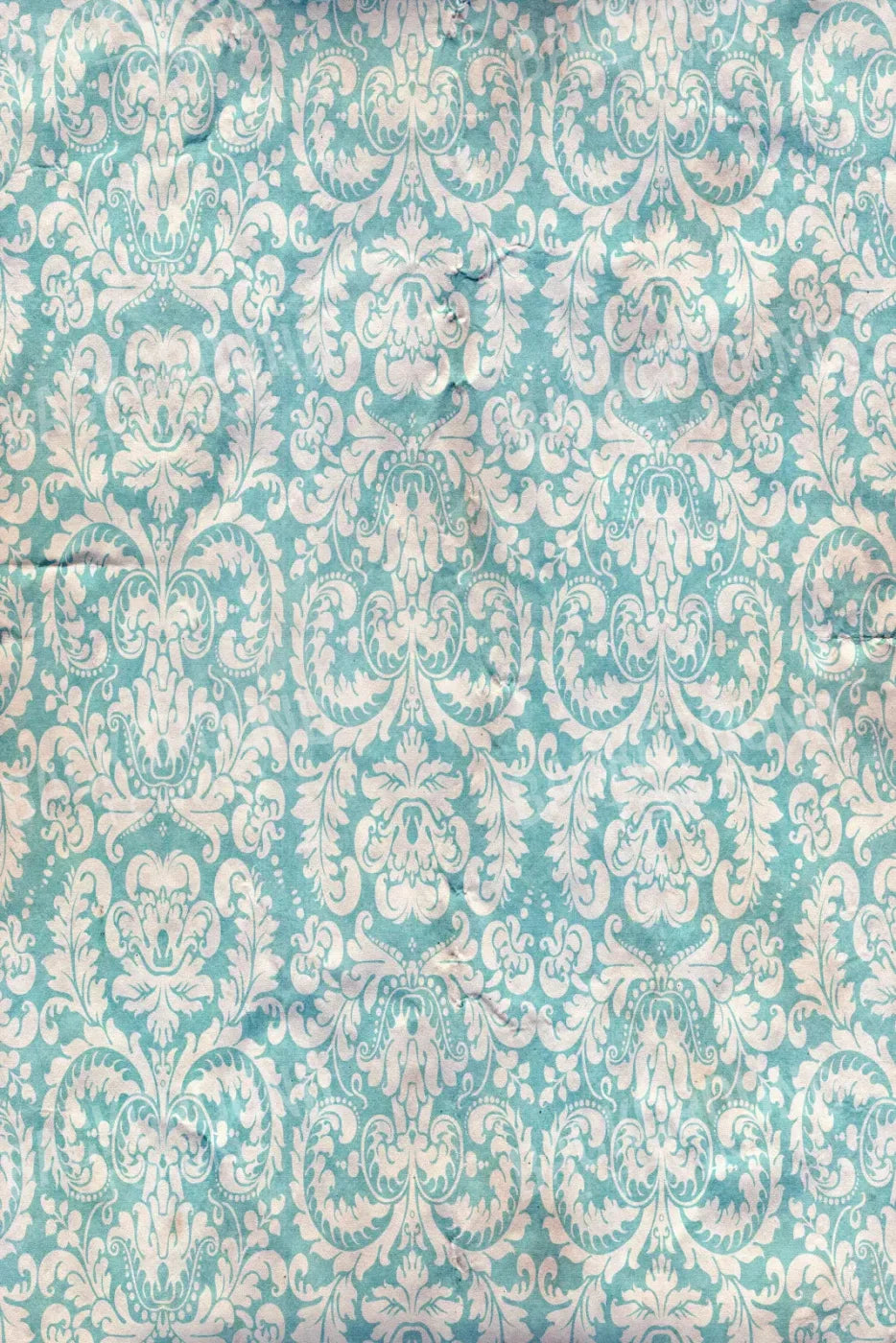 Georgie 5X8 Ultracloth ( 60 X 96 Inch ) Backdrop