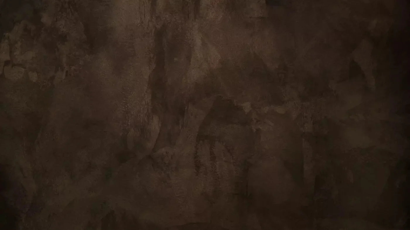 Gessa Brown 14X8 Ultracloth ( 168 X 96 Inch ) Backdrop