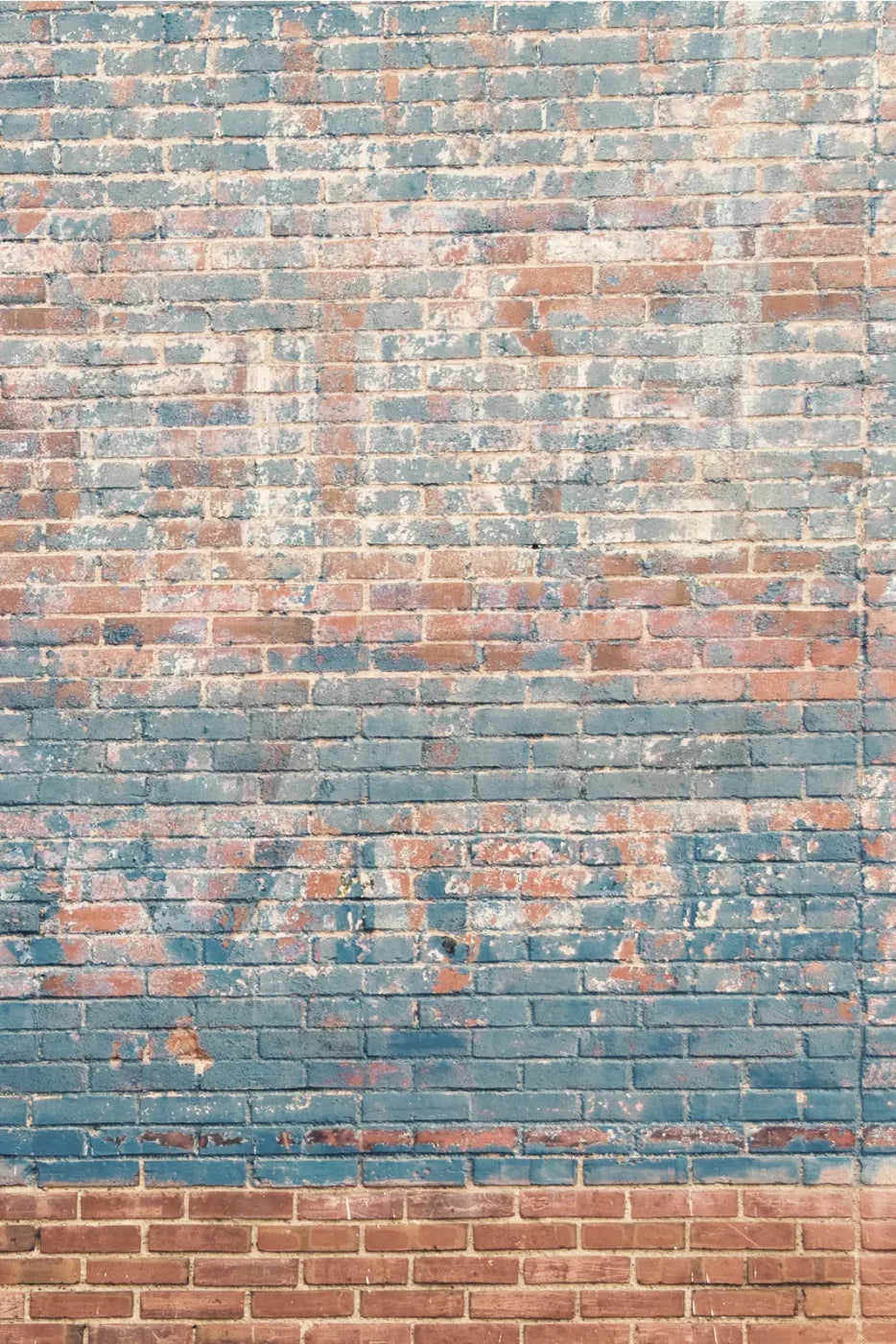 Ghost Sign Backdrop