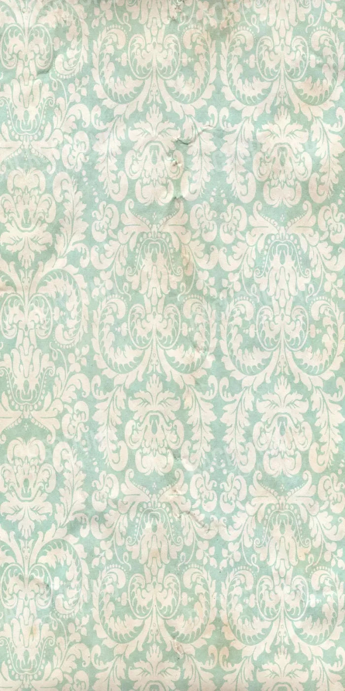 Gigi 10X20 Ultracloth ( 120 X 240 Inch ) Backdrop