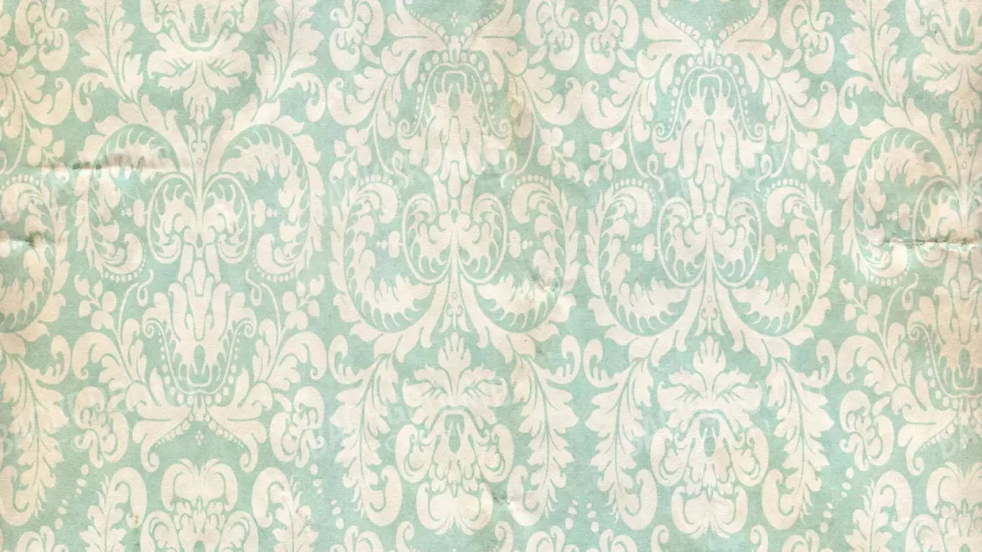 Gigi 14X8 Ultracloth ( 168 X 96 Inch ) Backdrop