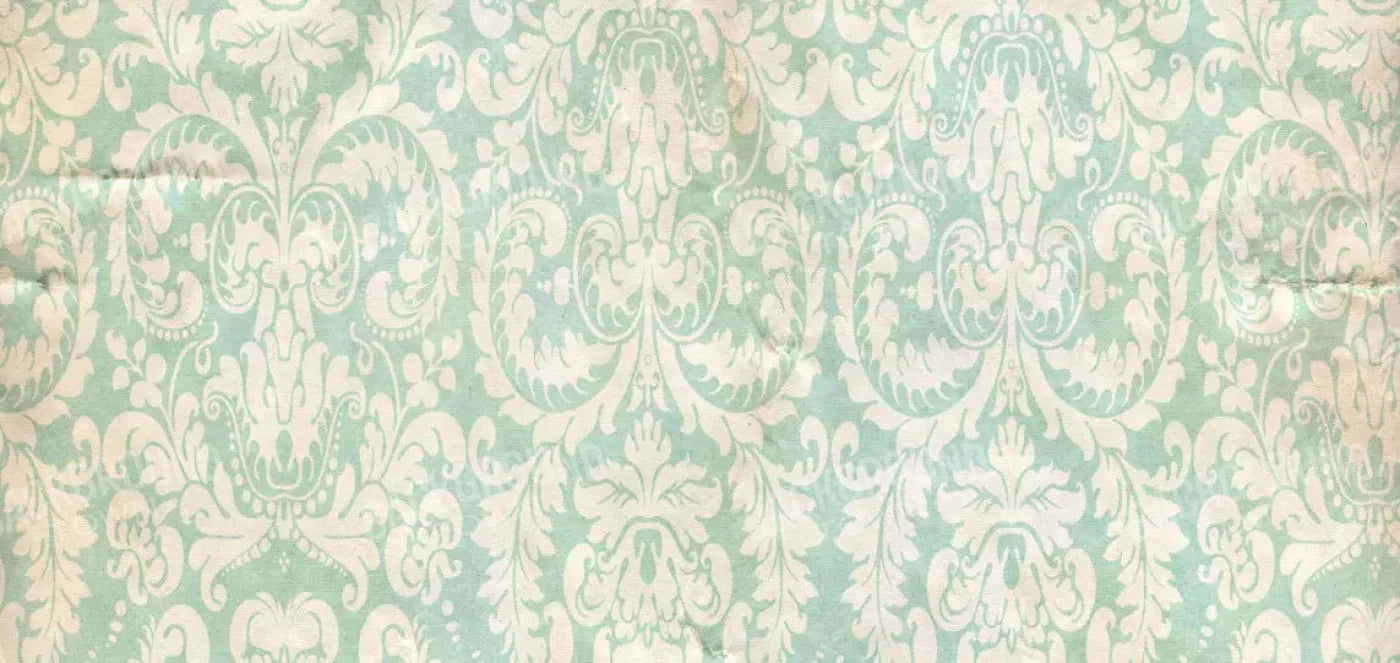 Gigi 16X8 Ultracloth ( 192 X 96 Inch ) Backdrop