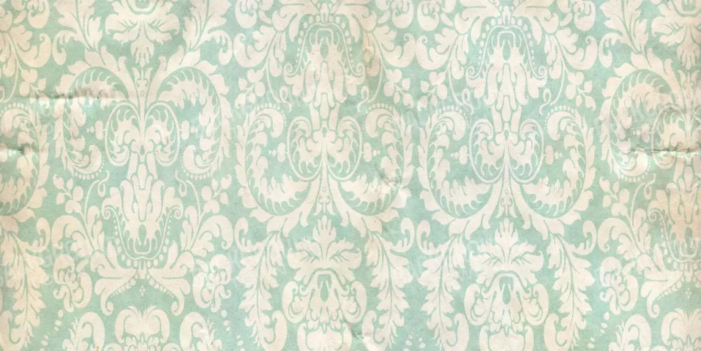 Gigi 20X10 Ultracloth ( 240 X 120 Inch ) Backdrop