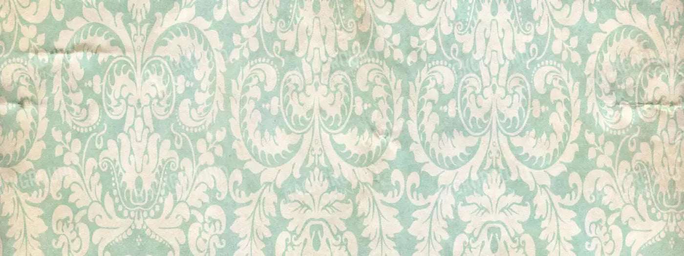 Gigi 20X8 Ultracloth ( 240 X 96 Inch ) Backdrop