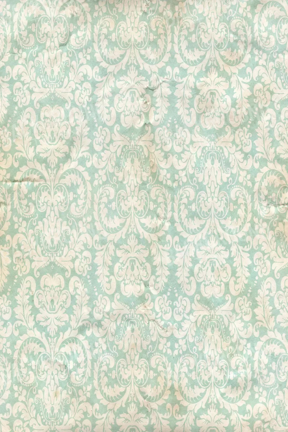 Gigi 5X8 Ultracloth ( 60 X 96 Inch ) Backdrop