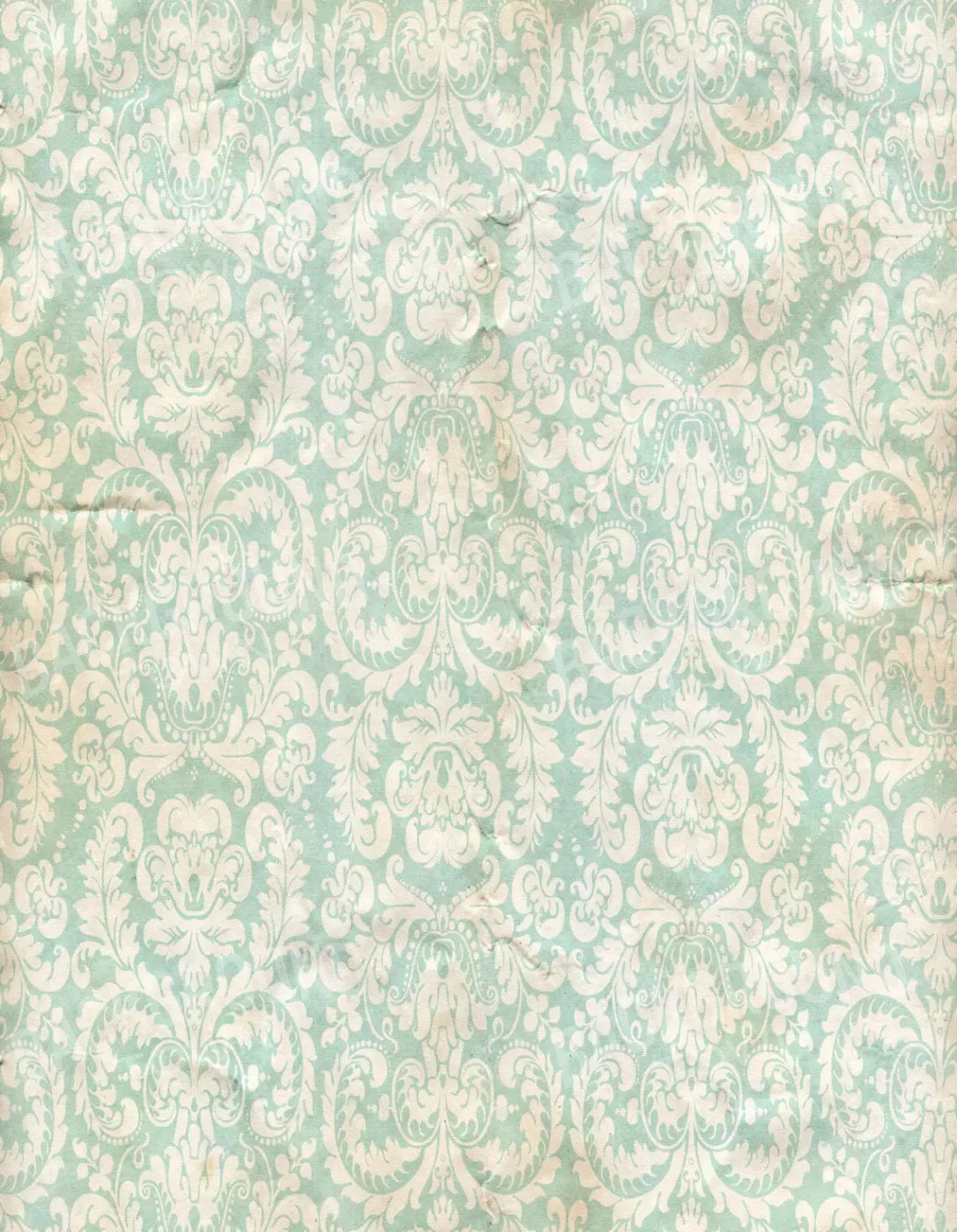 Gigi 6X8 Fleece ( 72 X 96 Inch ) Backdrop