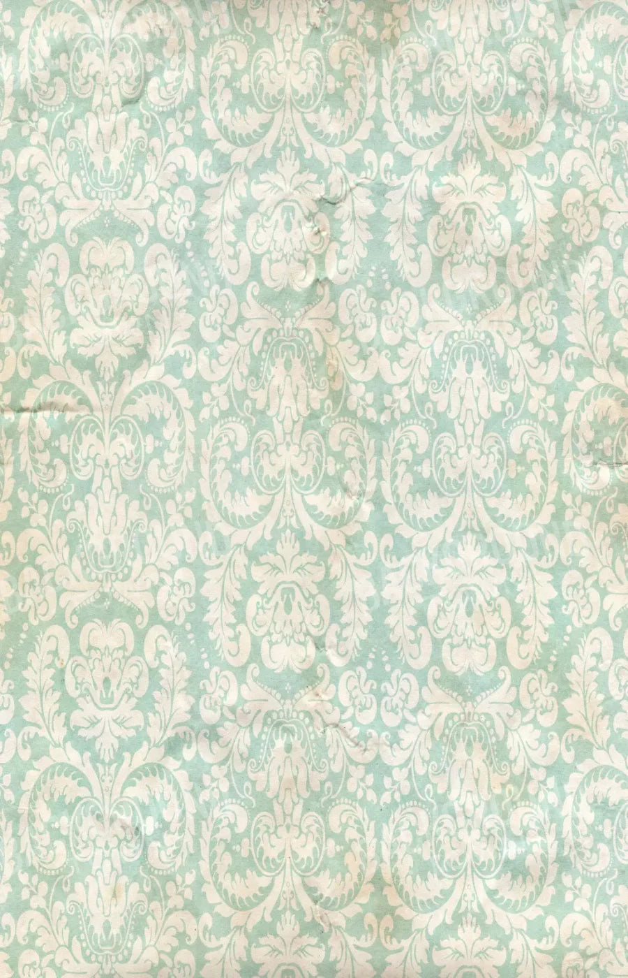 Gigi 8X12 Ultracloth ( 96 X 144 Inch ) Backdrop