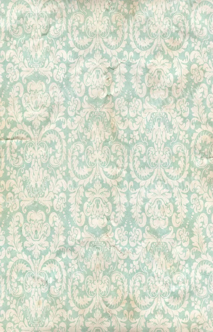 Gigi 8X12 Ultracloth ( 96 X 144 Inch ) Backdrop