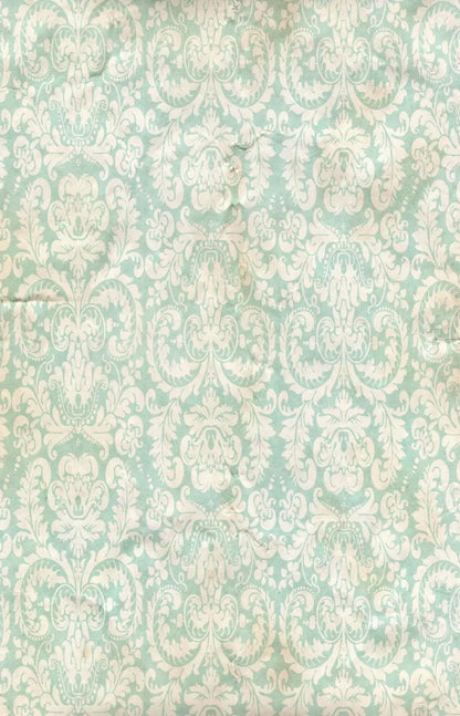 Gigi 8X12 Ultracloth ( 96 X 144 Inch ) Backdrop