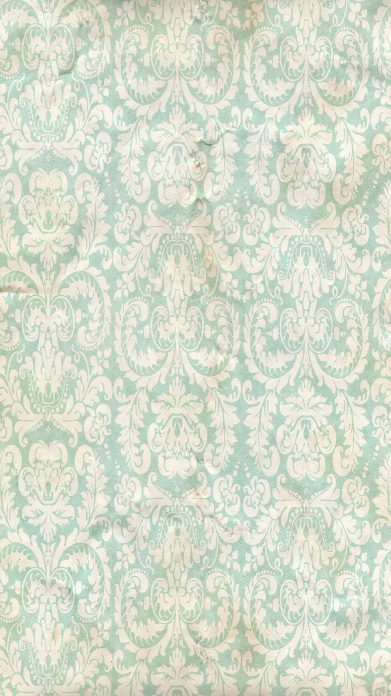 Gigi 8X14 Ultracloth ( 96 X 168 Inch ) Backdrop